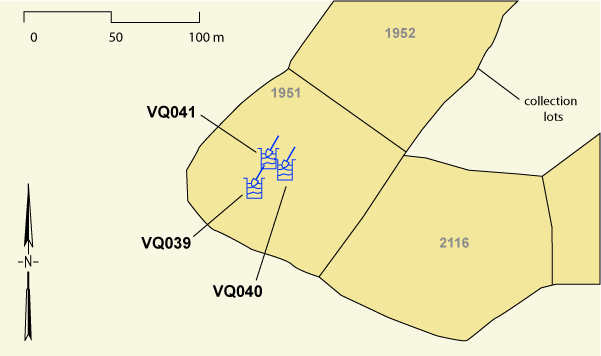 San José Site